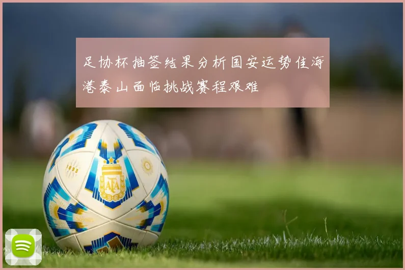 足协杯抽签结果分析国安运势佳海港泰山面临挑战赛程艰难