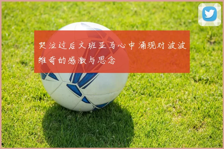 哭泣过后文班亚马心中涌现对波波维奇的感激与思念