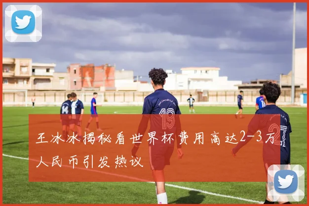 王冰冰揭秘看世界杯费用高达2-3万人民币引发热议