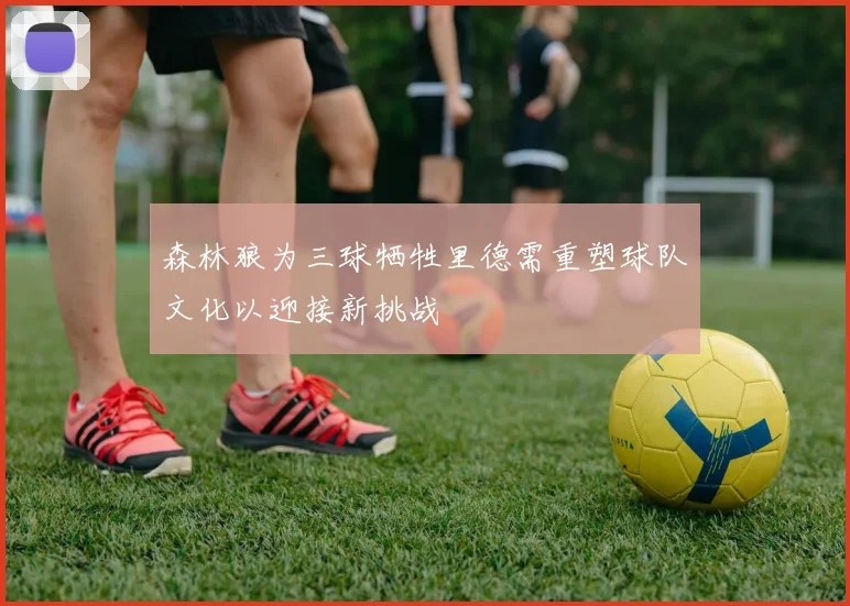 森林狼为三球牺牲里德需重塑球队文化以迎接新挑战